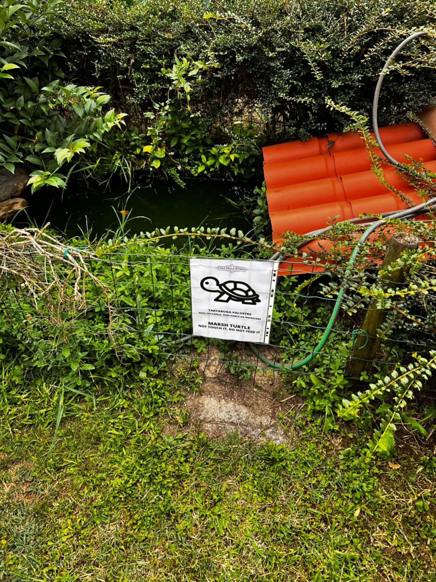 Appartamento Casa Della Nonna Noventa di Piave Extérieur photo