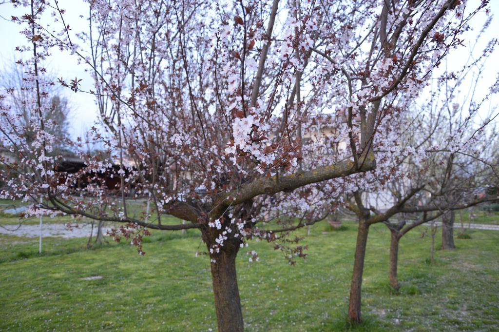 Appartamento Casa Della Nonna Noventa di Piave Extérieur photo